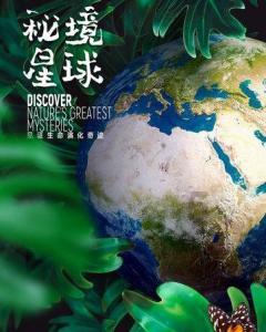 格斗巅峰大作战